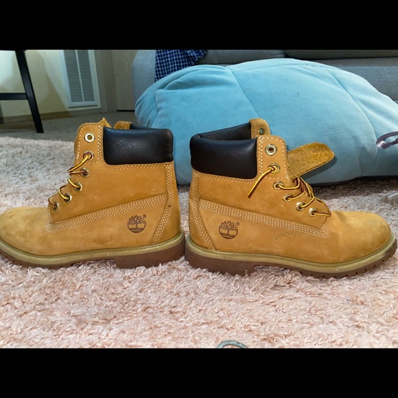 Timberlands - Picture 8 of 8